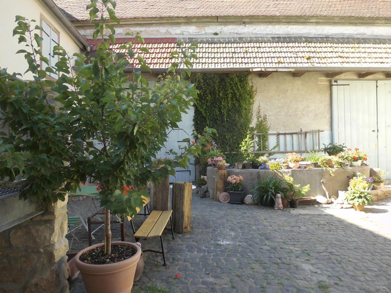 Gaestezimmer Mittelgasse Florsheim-Dalsheim ภายนอก รูปภาพ