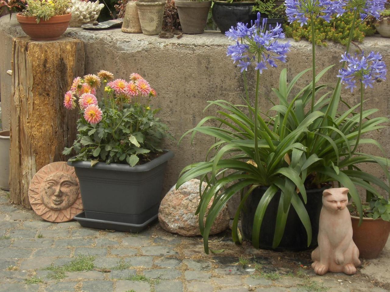Gaestezimmer Mittelgasse Florsheim-Dalsheim ภายนอก รูปภาพ