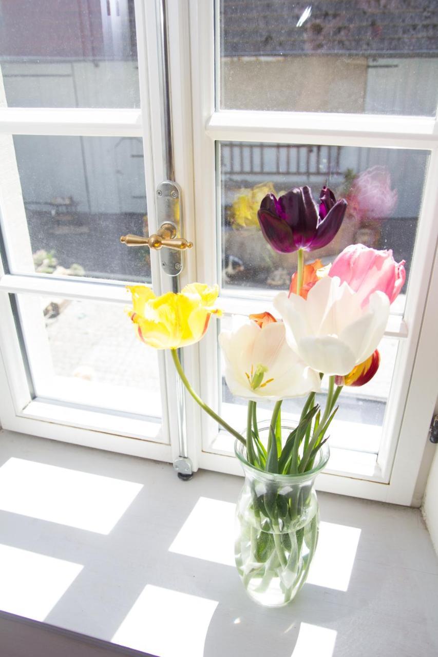 Gaestezimmer Mittelgasse Florsheim-Dalsheim ภายนอก รูปภาพ